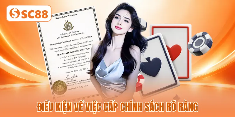 Điều kiện về việc cấp chính sách rõ ràng Điều kiện về việc cấp chính sách rõ ràng