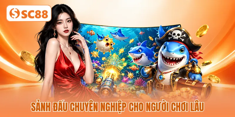 Sảnh đấu chuyên nghiệp cho người chơi lâu Sảnh đấu chuyên nghiệp cho người chơi lâu