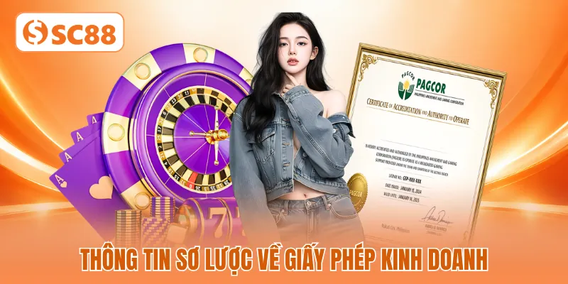 Thông tin sơ lược về giấy phép kinh doanh Thông tin sơ lược về giấy phép kinh doanh